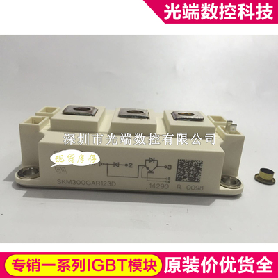 SKM300GAR123D SKM300GAL124D SKM300GAR12T4 SKM200GAR123D SKM4