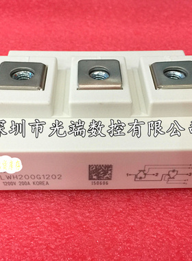 全新 LWH200G1202 LWH100G1203 LWH150G1202 LWH150G1204功率模块