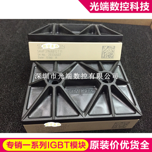 SKIIP31NAB12T11 SKIIP30NAB12T10 SKIIP31NAB12T10 SKIIP32NAB12