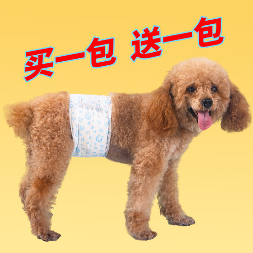 公狗纸尿裤专用泰迪礼貌宠物