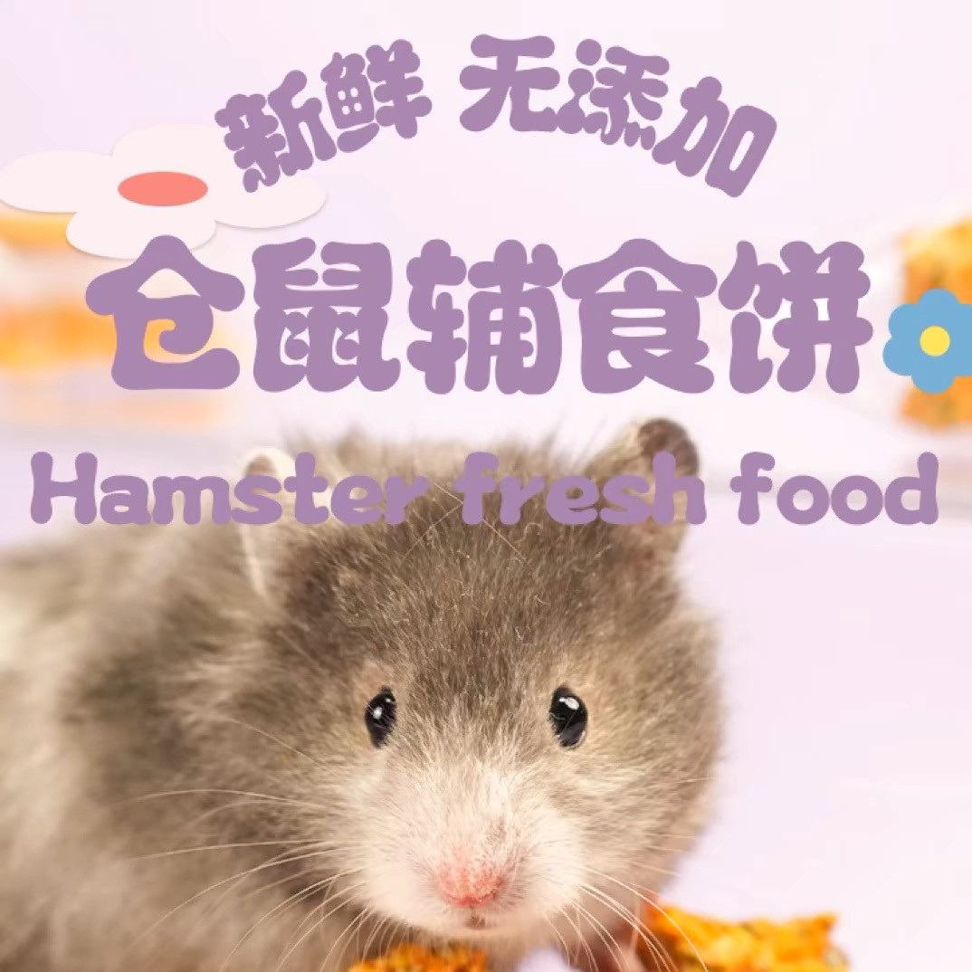 小宠仓鼠金丝熊两用辅食饼干吃热水泡软为新鲜辅食糊状