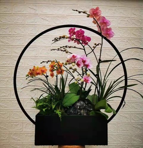 中式年宵花架蝴蝶兰花盆银柳冬青插花器方管可加灯带新年福桶花桶