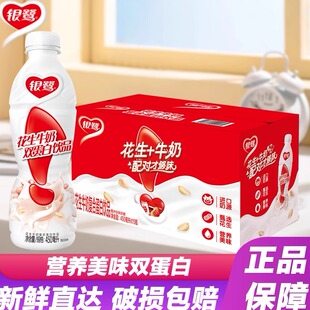 2025年新货银鹭花生牛奶饮品450ml*15瓶装整箱早餐蛋白奶超值送礼