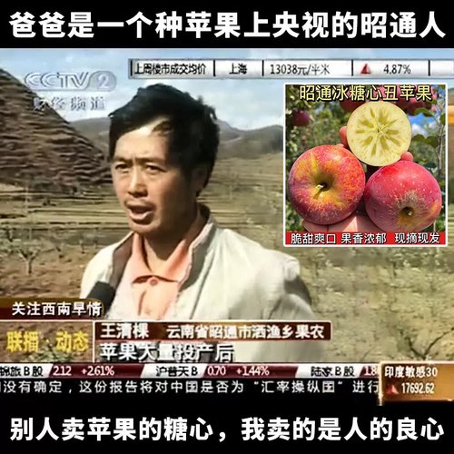 云南原生态冰糖心现摘包邮丑苹果
