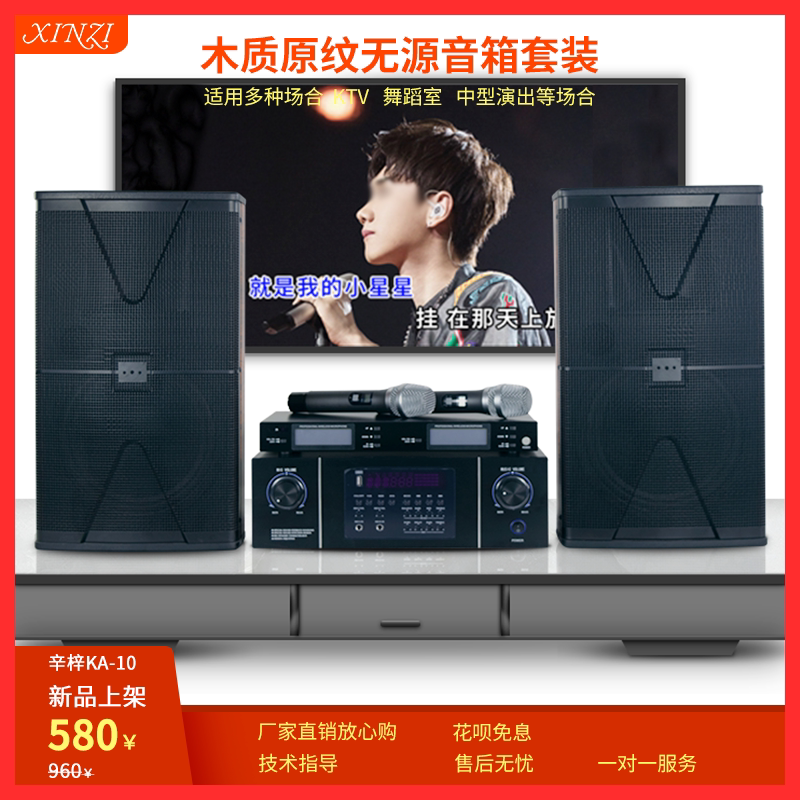 专业KTV音响套装K歌防啸叫会议室教室舞蹈室无源壁挂舞台HiFi音箱