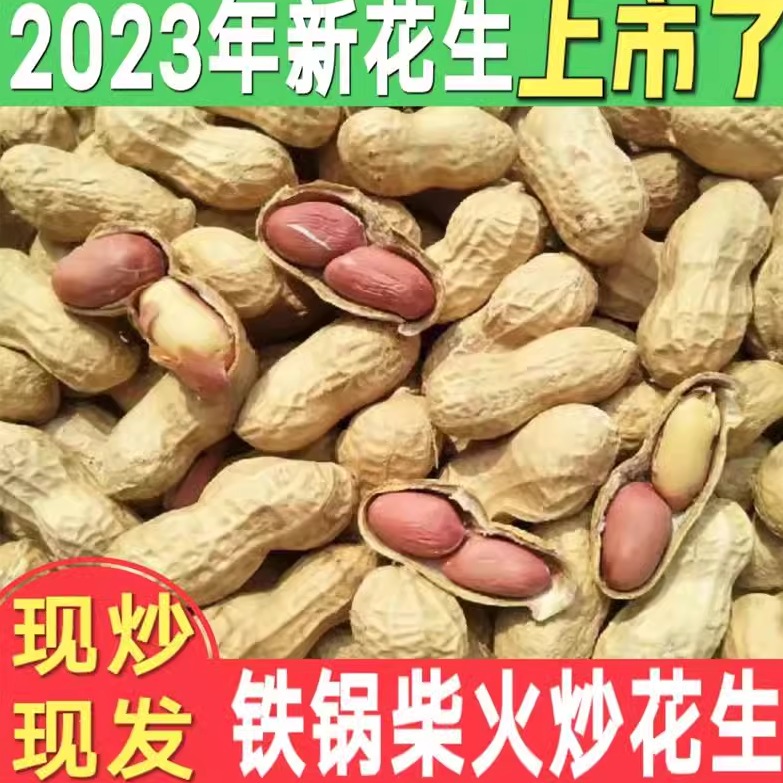 2023年新货炒花生原味带壳现炒现发铁锅柴火炒熟花生带壳生花生