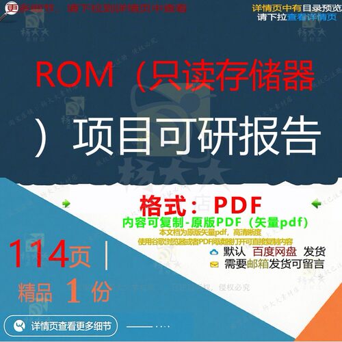 ROM（只读存储器）项目可研报告114页项目优质报告可研文档