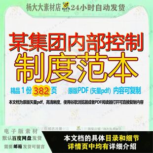 某集团内部控制制度范本382页 制度资料集团范本文档内部优质