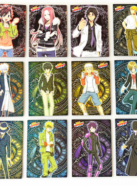 【画王】家庭教师 ENSKY相卡 收藏闪卡 白兰 碧洋琪 未来篇彭格列