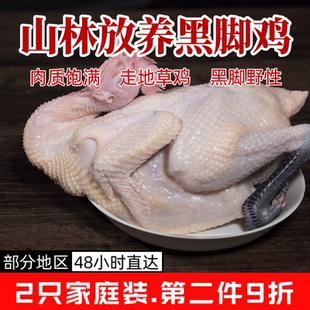 新鲜青脚麻鸡2只装农家黑爪土鸡白条笨鸡速冻草鸡餐饮食材商用