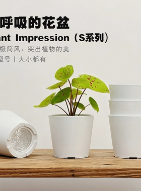 植物印象 白色简约圆形加厚塑料树脂大号透气花盆彩叶芋热植盆