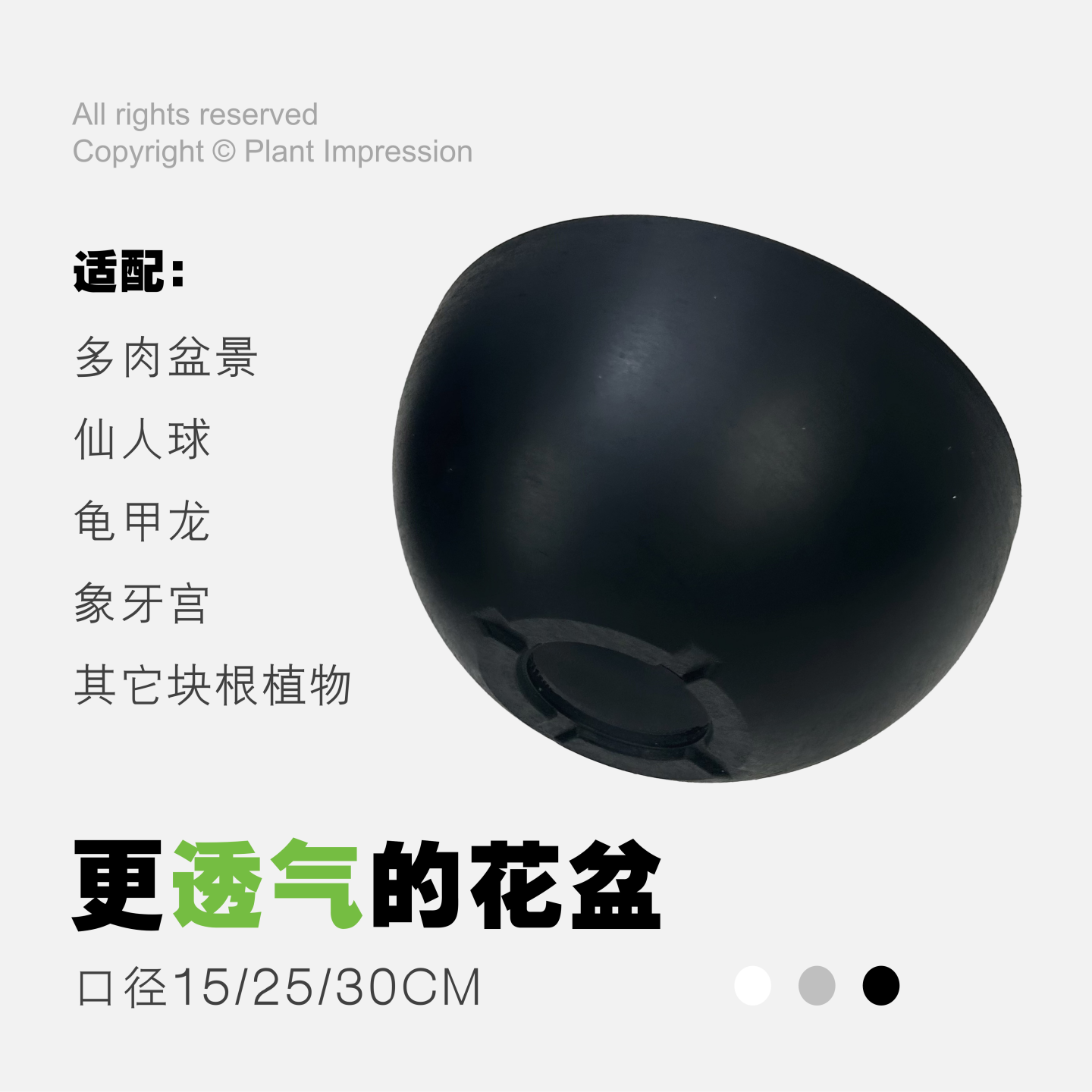 植物印象 碗型盆器黑胶盆块根植物龟甲龙象牙宫大口径多肉造景盆