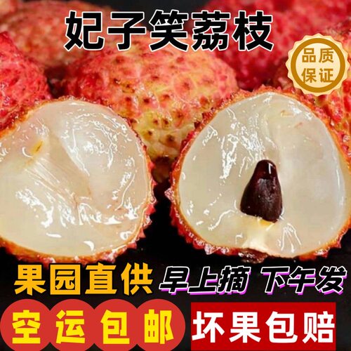 新鲜现摘现发灵山白糖罂荔枝大果应季孕妇水果礼盒顺丰包邮