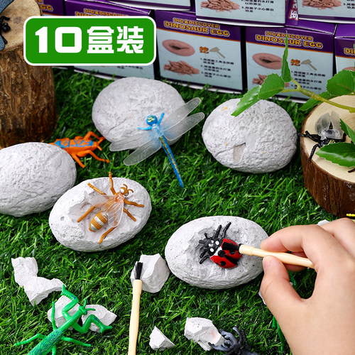 考古挖掘玩具昆虫仿真模型