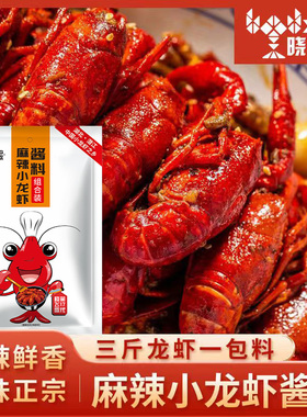 晓飞歌麻辣小龙虾秘制酱280g麻辣调料包龙虾调料火锅底料商用油焖