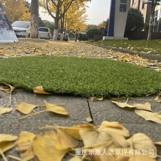 3cm加厚装饰井盖垫子地毯绿植假草地垫圆桌草皮仿真餐桌圆形草坪