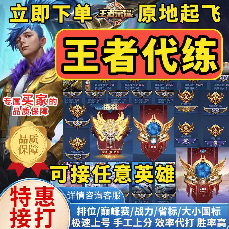 王者荣耀代练车队上分巅峰赛小国标国服省标排位战力包80胜率_虎窝淘