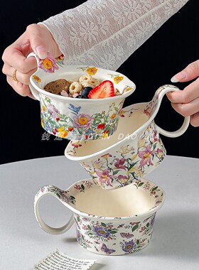 ins风陶瓷碗燕麦碗带勺高级感繁花纹酸奶碗水果沙拉碗甜品麦片碗