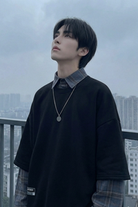 现货 2026春款假两件卫衣衬衫领复古vibe格子美式外套  A5613-P65图片