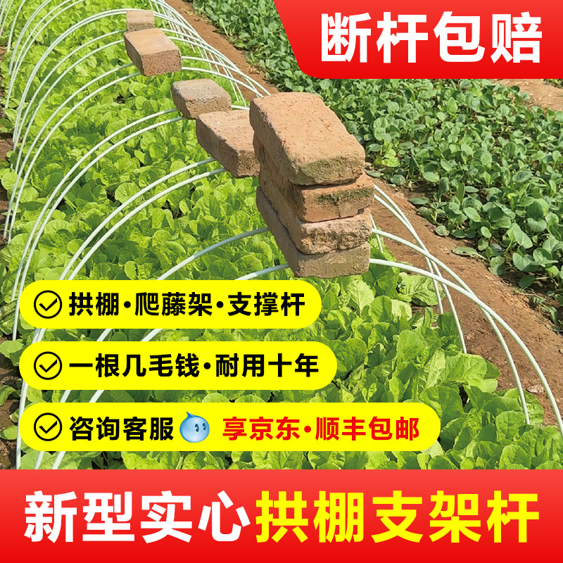 小拱棚支架菜园地膜搭棚架子棚拱杆农用大棚骨架新型玻璃纤维杆
