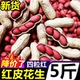 2025年新生花生红皮带壳晒干新鲜红花生米干花生红衣花生种子