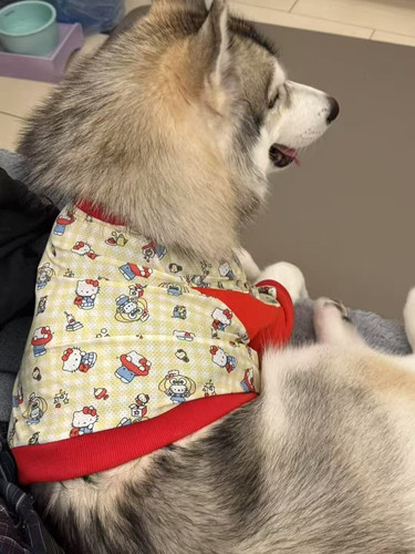 宠物夏季网眼凉感护肘服半截衣保护关节处加厚款轻薄透气萨摩金毛