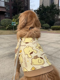 大型犬护肘服春秋冬季卡通可爱肘部保护服拉布拉多护关节衣服短款