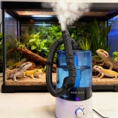 带喷雾管爬宠加湿器超声波雾化器动植物加湿培育混泥土培育箱大雾