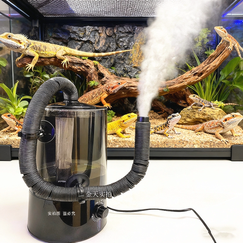 爬宠加湿器兰花多肉孵化箱动植物海雨林造雾超声波增湿带管大雾