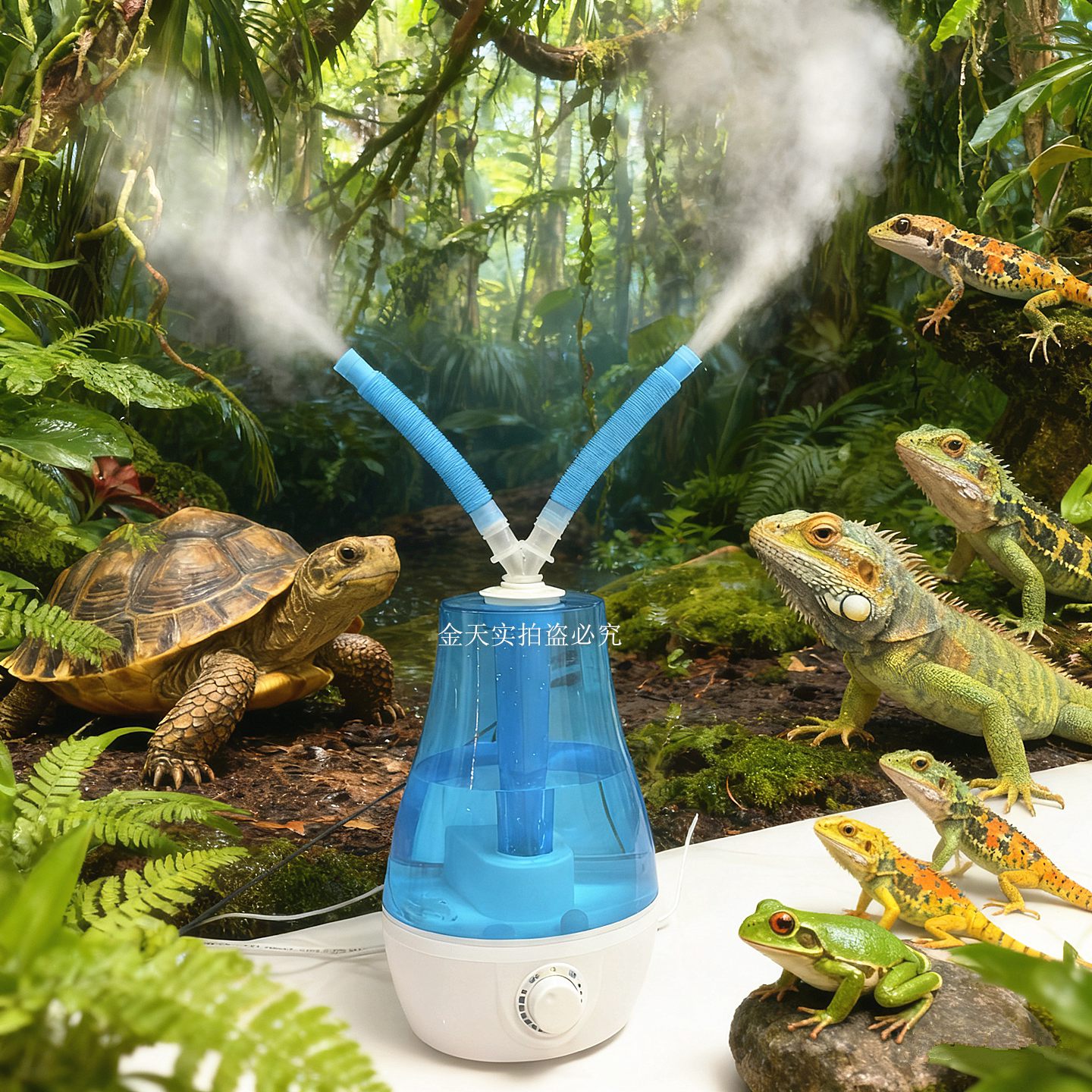 雨林水陆缸宠物加湿器带管超声波雾化器动植物蕨类养花增湿大雾化