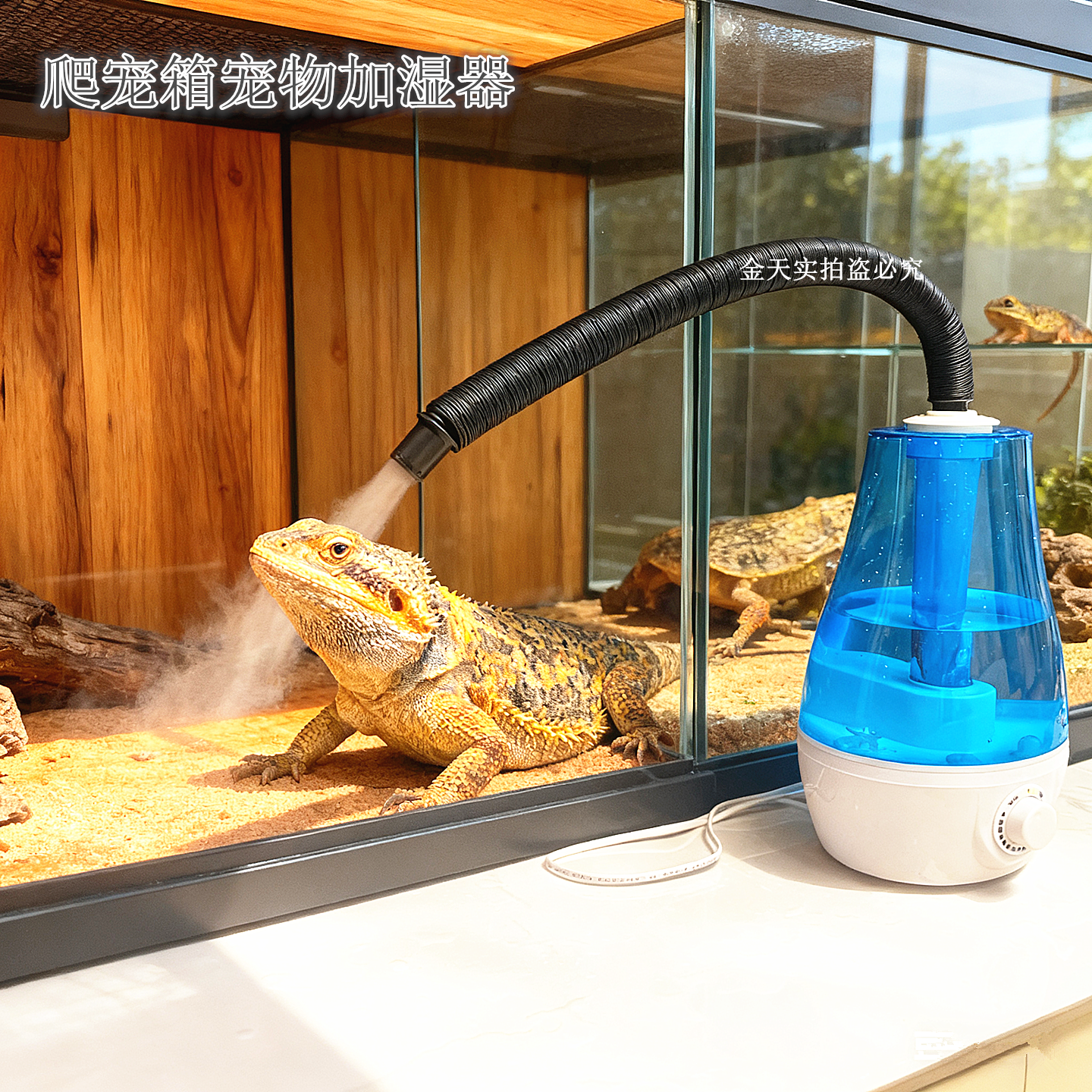 爬宠加湿器带喷雾管超声波雾化器动植物孵化养花绿植陆龟增湿器