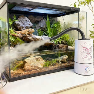 水陆缸爬宠箱加湿器家用大喷雾陆龟蜥蜴寄居蟹花卉蕨类防干燥增湿