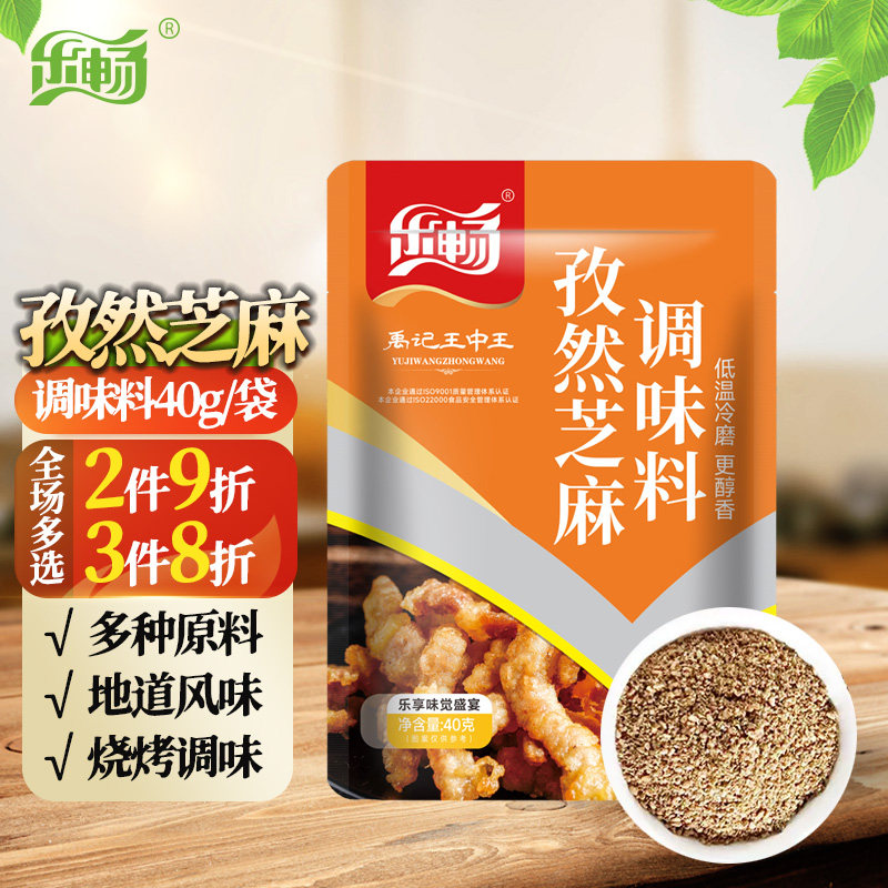 乐畅孜然芝麻调味料40g 商超同款 空气炸锅调料 烧烤蘸撒料烤肉串