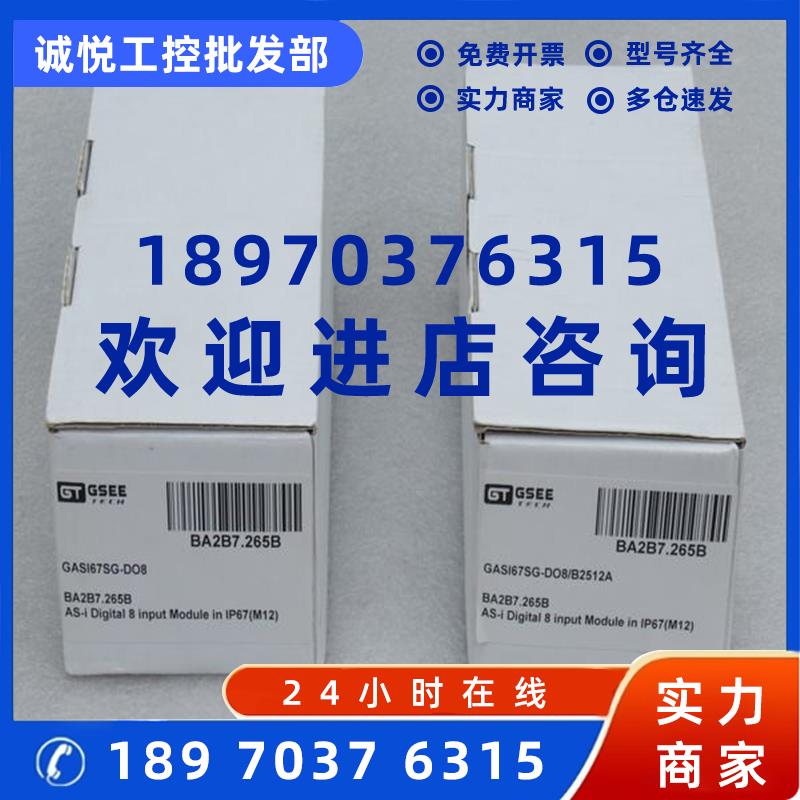 议价*现货销售*全新GSEE TECH吉诺模块GASI67SG-DO8 现货