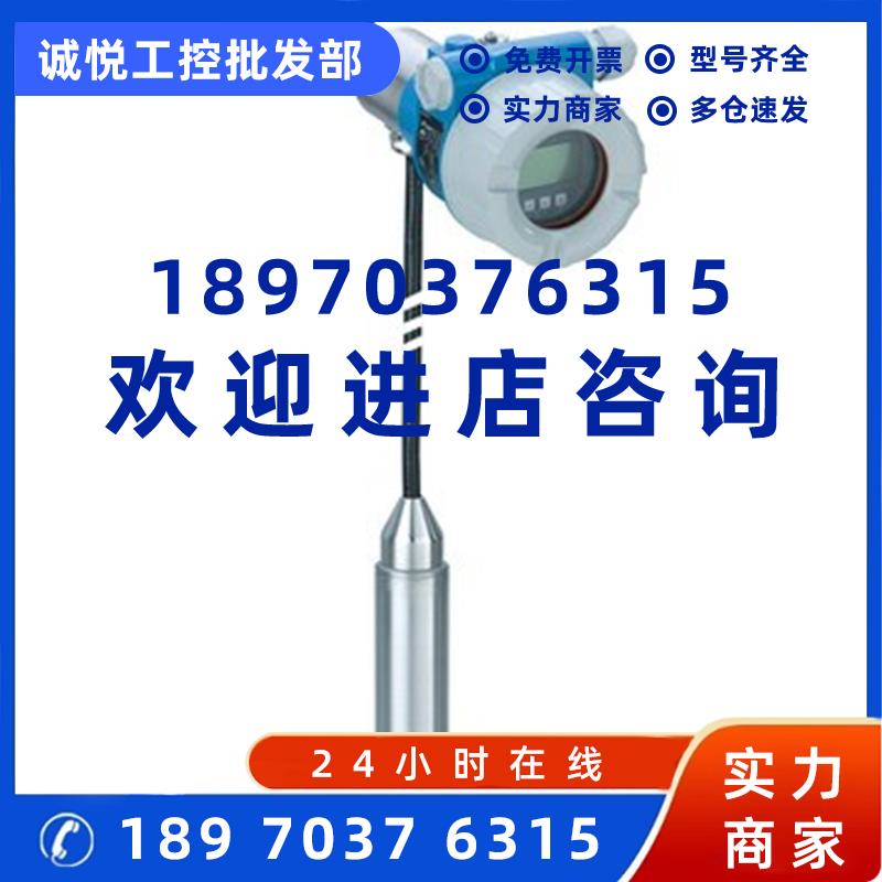 议价德国E+H静压式液位计DB52-AM10BC12GF20 (电缆=8m) 升级款是F