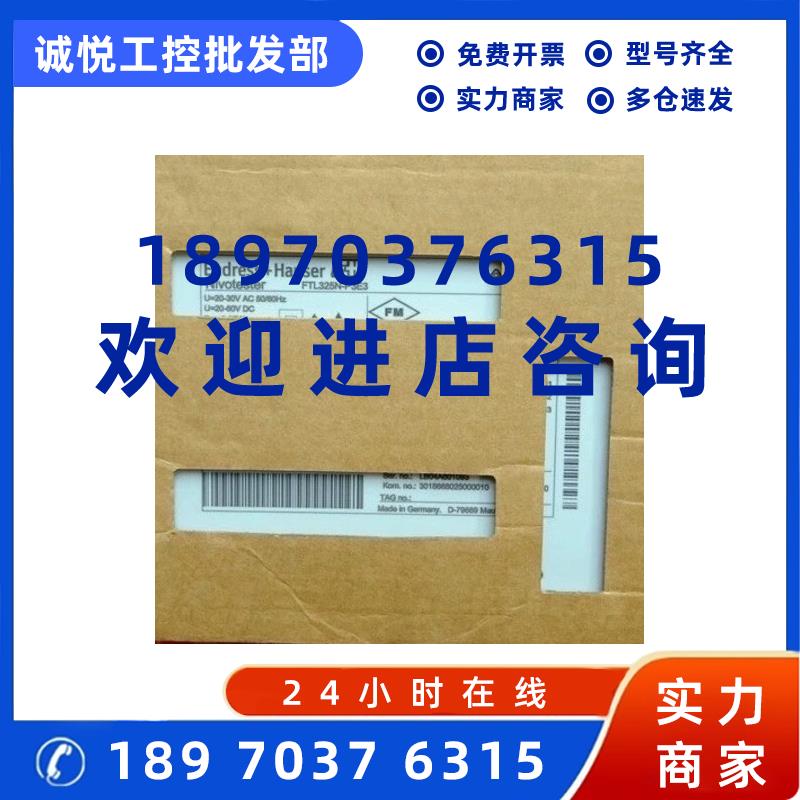 议价E+H FTL325N-P3E3 恩德斯豪斯振动式限位信号变议价