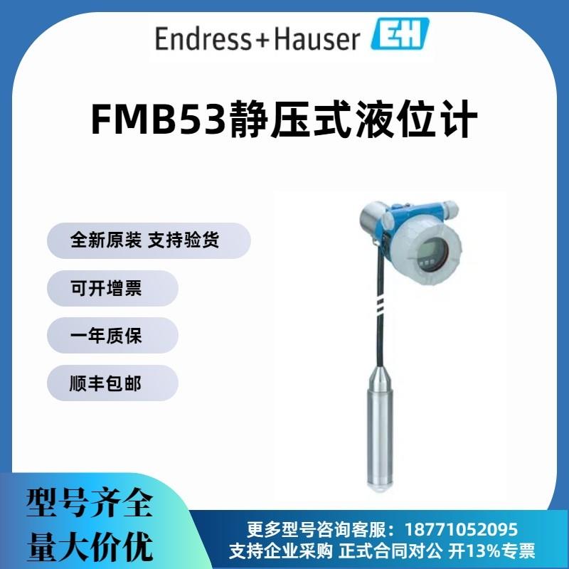 议价E+H 静压式液位仪FMB53-AA21RD1HGD15B3A+AA静压液位计