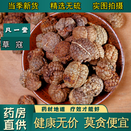 草豆蔻老蔻波蔻大草扣草寇仁