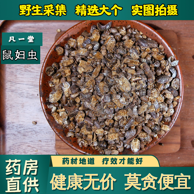 【凡一堂】 鼠妇虫 潮虫 地虱 鼠负 鼠姑 米汤虫