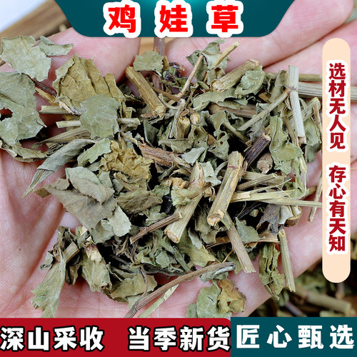 鸡娃草蓝雪草小蓝雪草刺矾松