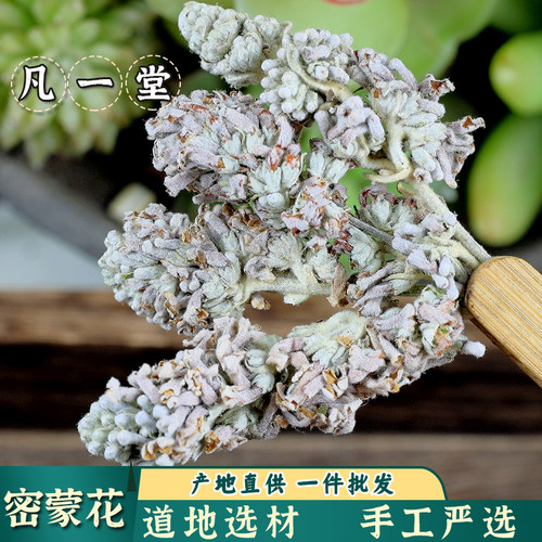 密蒙花中药材中草药密蒙花