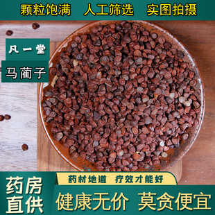 凡一堂】马蔺子 中药材 马兰子 庵闾子 马莲子 马楝子 马帚子