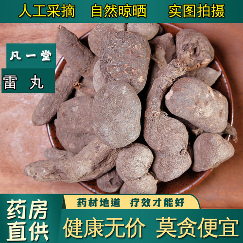 雷丸中药材雷实竹林子木莲子