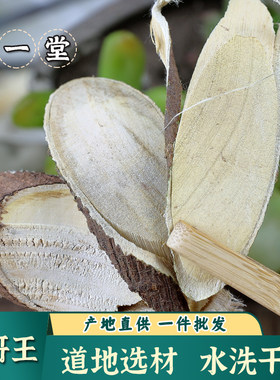 了哥王中药材中草药了歌王