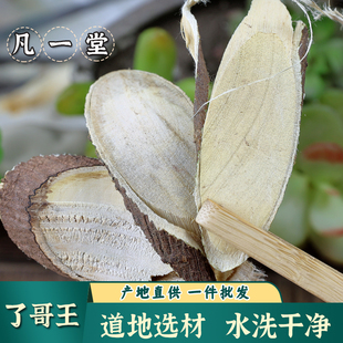【凡一堂】了哥王 中药材 中草药了歌王  地棉皮 九信草 地绵茎