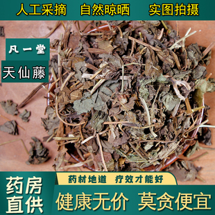 【凡一堂】天仙藤 马兜铃藤都淋藤兜铃苗青木香藤长痧藤 中药材