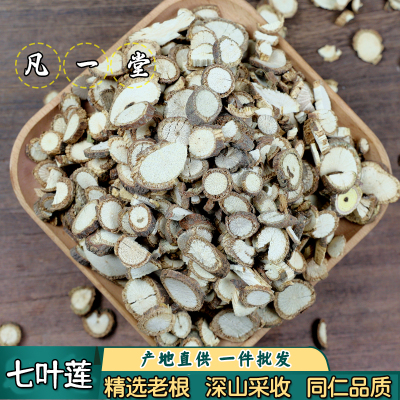 中药材七叶莲片多蕊木汉桃叶