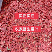 1斤商用红构干货黑泡茶批发中颗粒大包装 枸杞1纯天然 枸杞子袋装