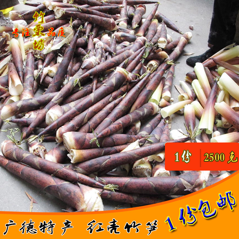 2025广德红壳笋 新鲜现挖野生雷竹笋正宗安徽春笋黄泥笋1份2500克