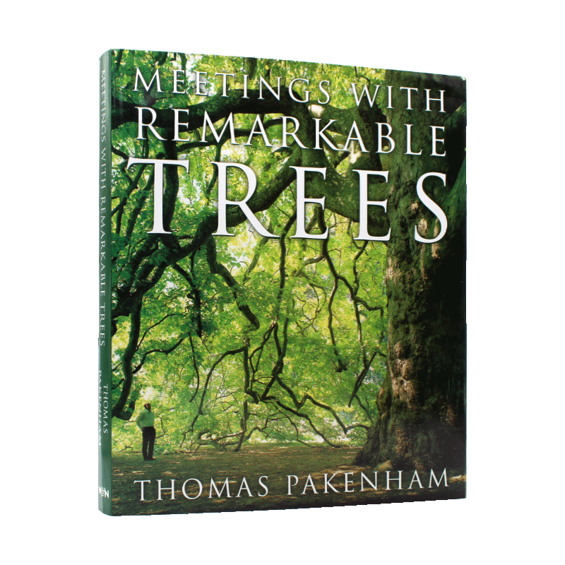 现货包邮 Meetings With Remarkable Trees 与非凡的树木会面  精美插图的树木肖像书 英文原版